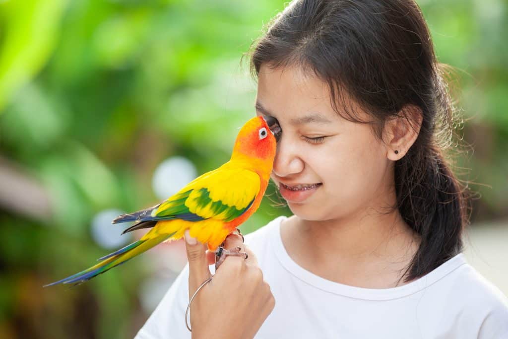 Parrot on woman's hand out in the garden
