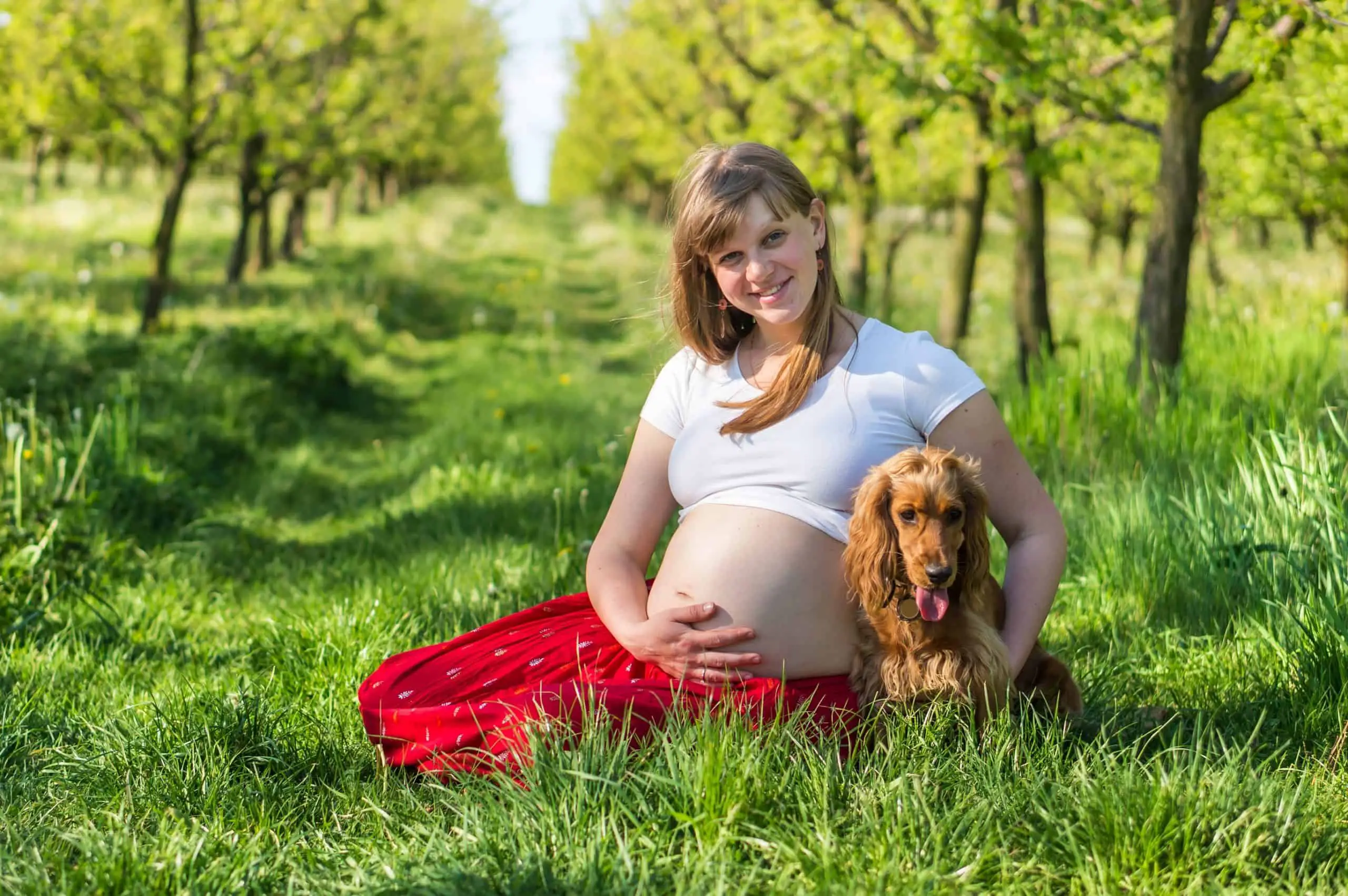 Staying safe when pregnant and allowing dogs with a garden that has been sprayed with a weed killer