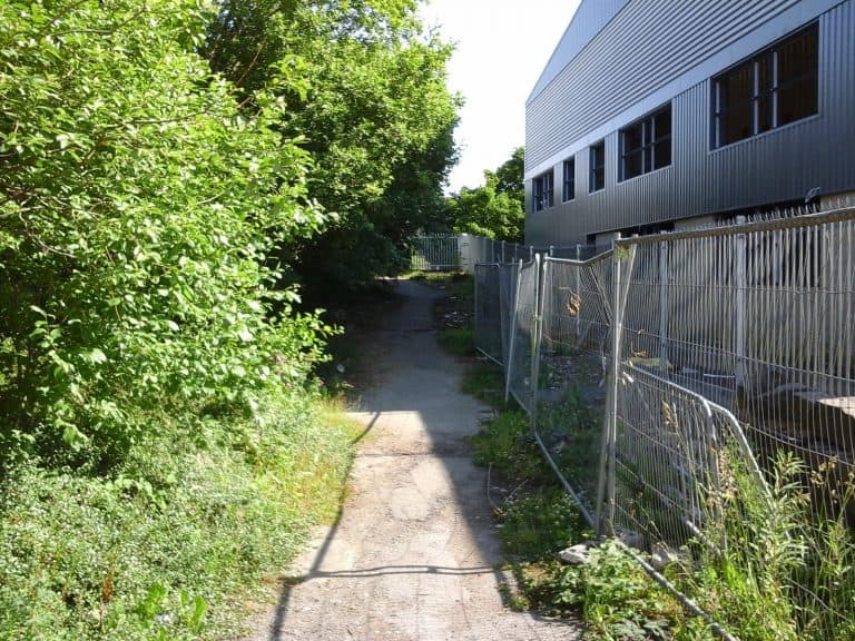 Does Japanese Knotweed Cause subsidence?