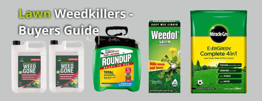 Lawn Weed Killers Buyers Guide