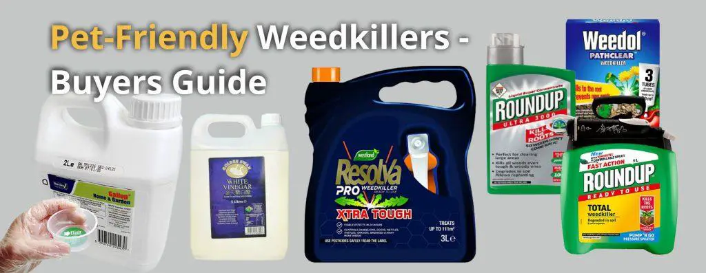 Pet-Friendly Weed Killers Buyers Guide