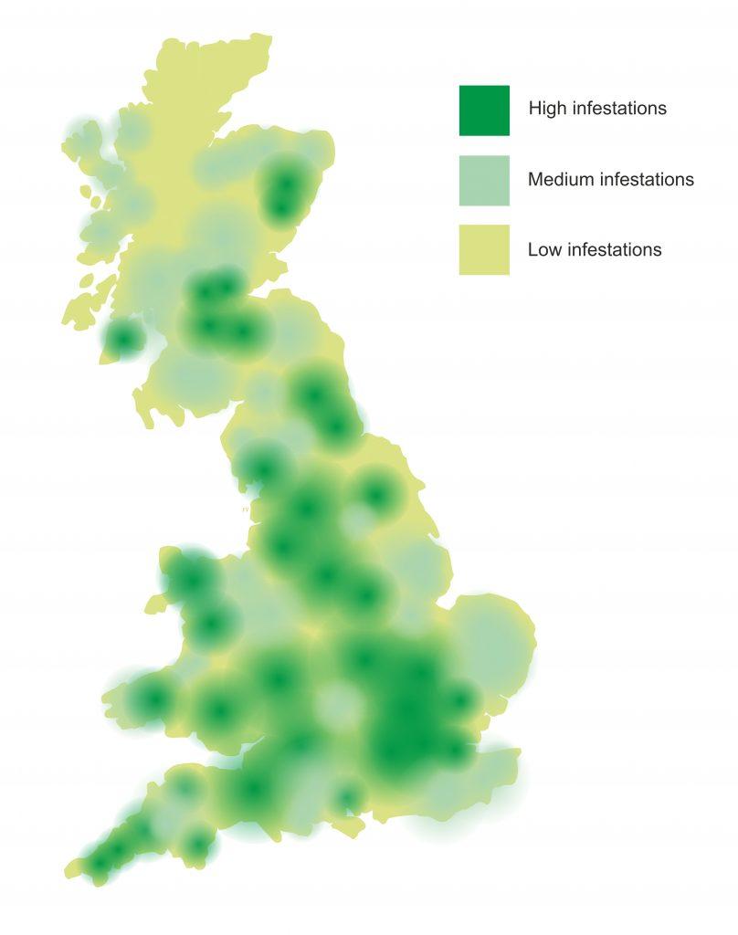 The map below shows the spread of Japanese knotweed in the UK. You can see how it's an invasive species, spreading from the south east to the west coast. It's a problem for property owners because it grows so quickly and is very hard to remove. 