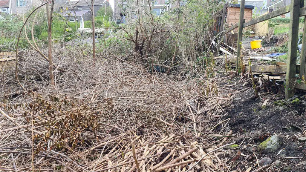 My garden in late March is ready for clearing and before those dreaded knotweeds take over - multi garden tool