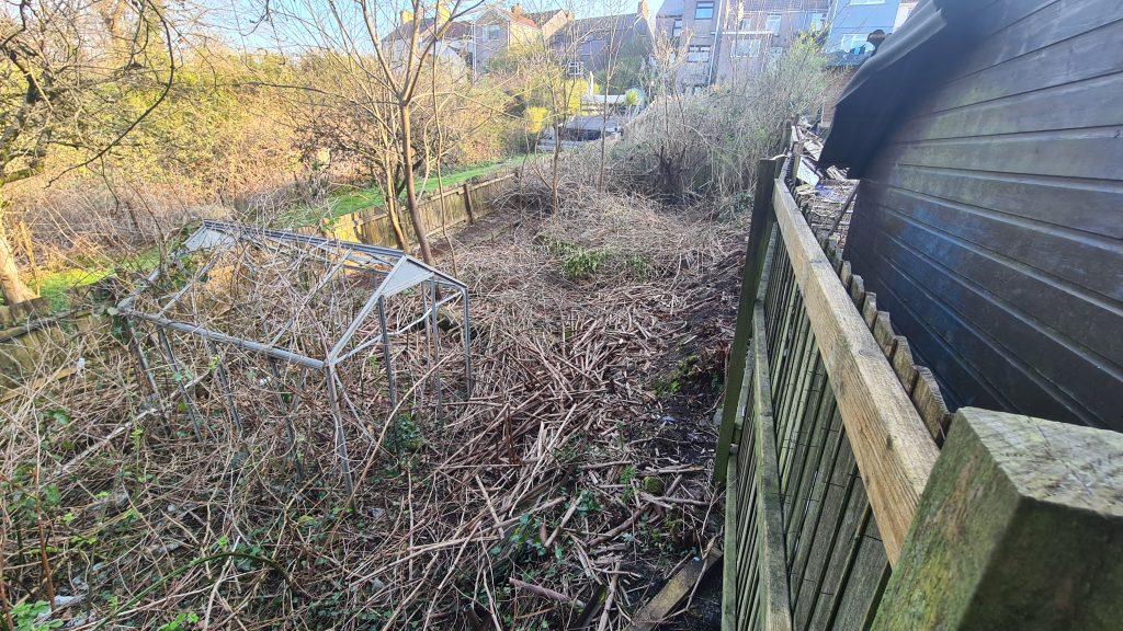 Neighbour's property cleared of Japanese knotweed ahead of treatment - property affected by Japanese knotweed