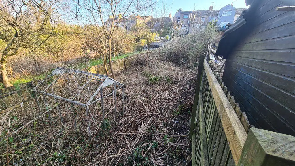 Area cleared of Japanese knotweed from a professional contractor as part of their ongoing treatment plan - commercial knotweed removal