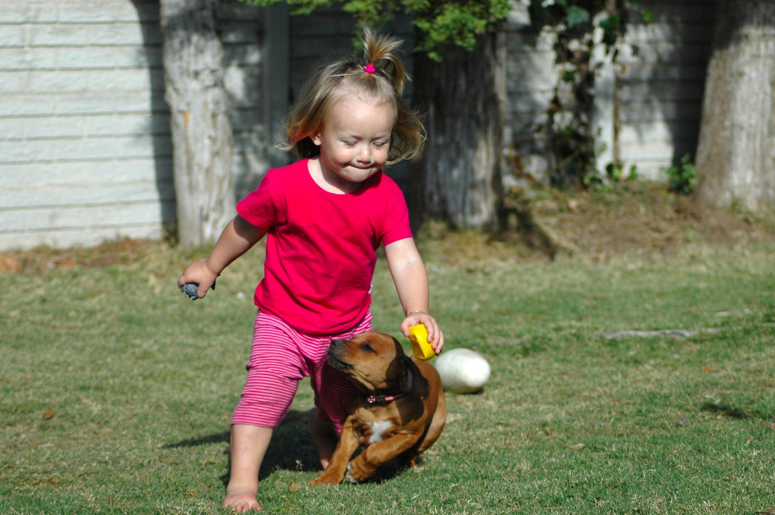 Keeping your children and pets safe when treating your lawn with weed killer - pet safe weed killers