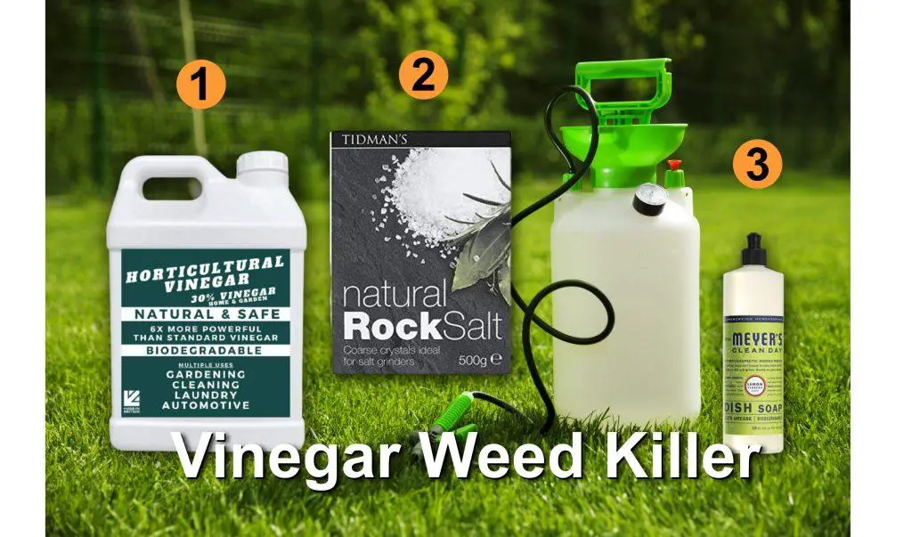 Vinegar weed killer recipe - how its made and applied