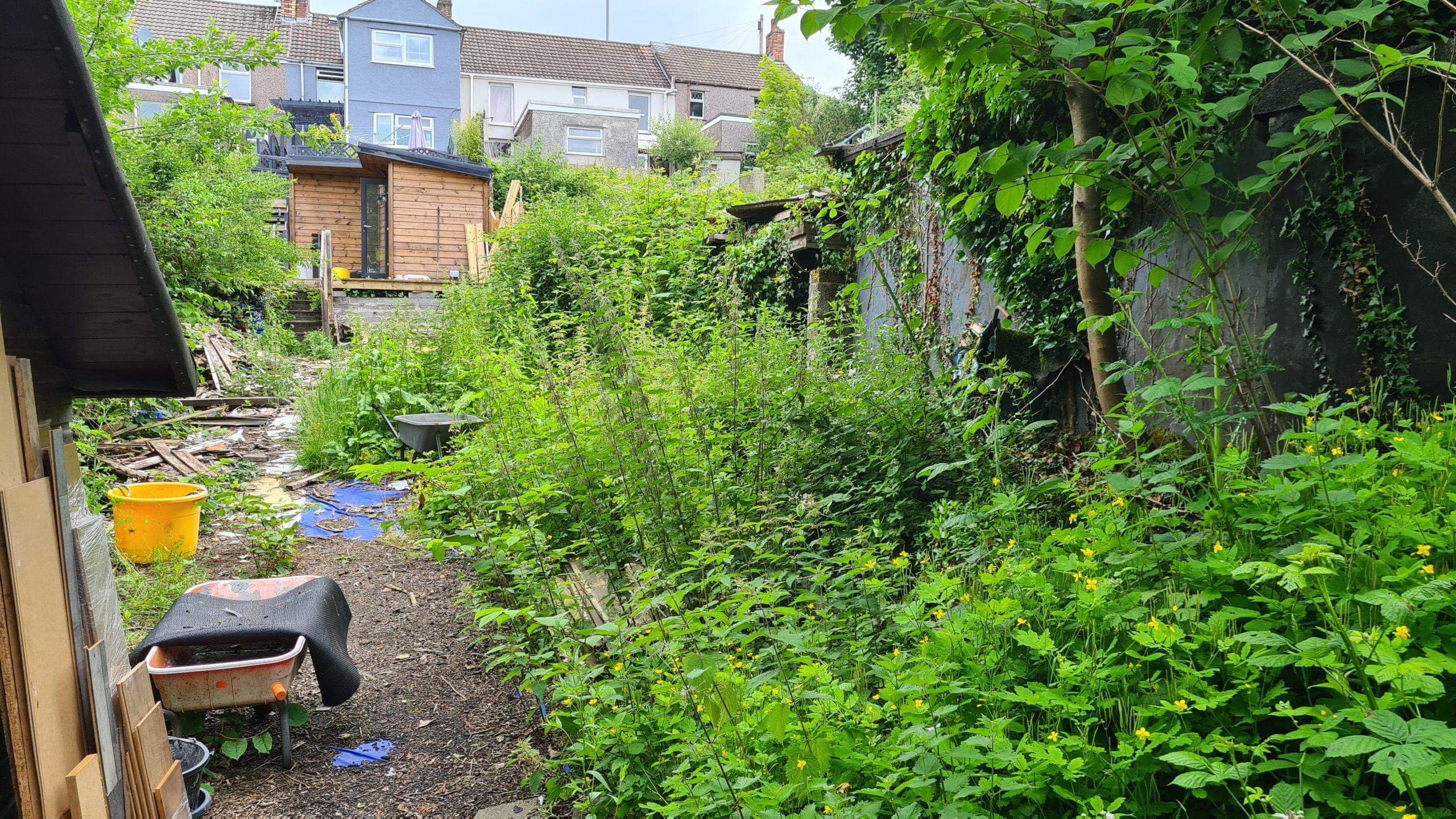 Prevent Japanese Knotweed from invading your property and that of your neighbour's