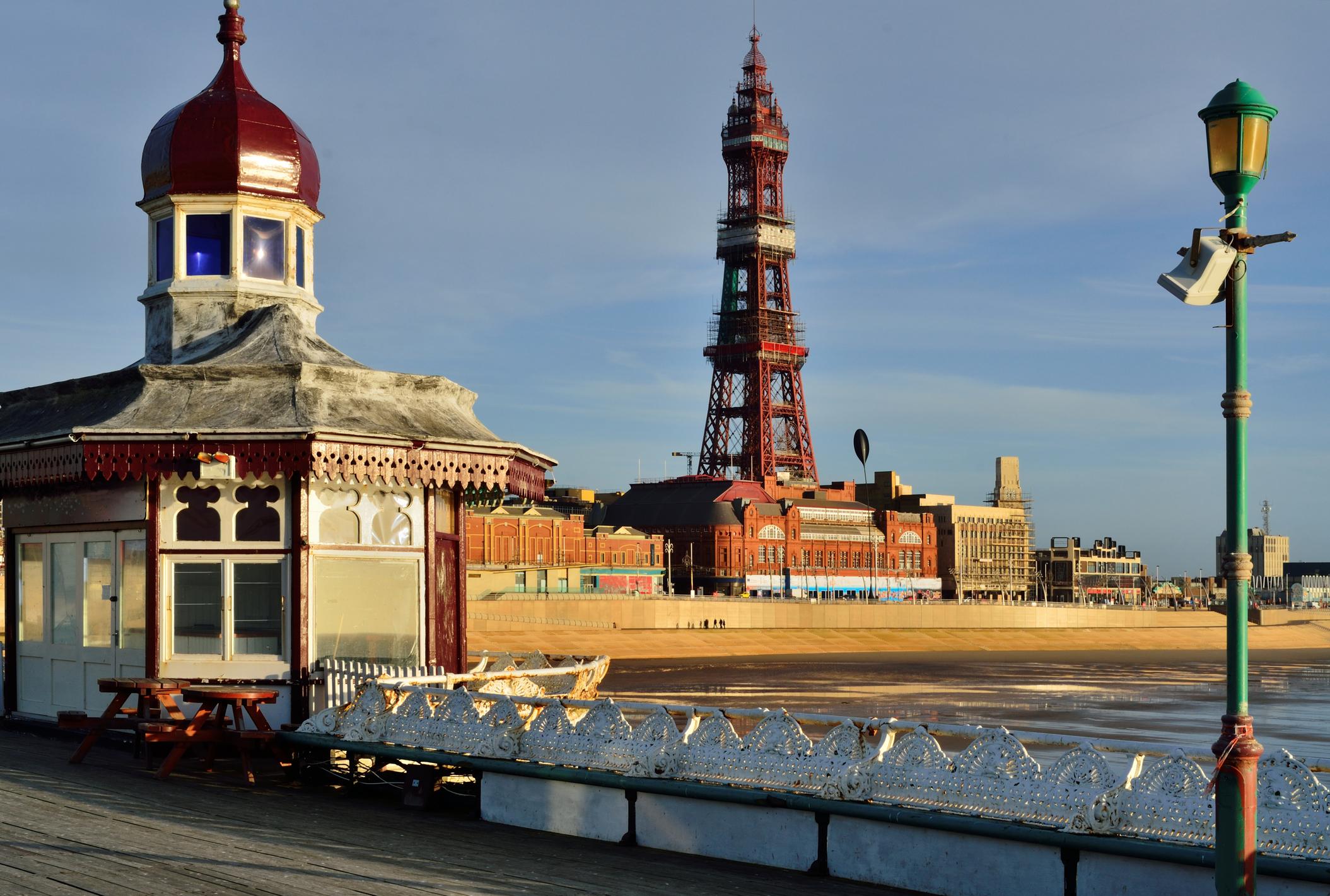 Japanese Knotweed Removal Blackpool