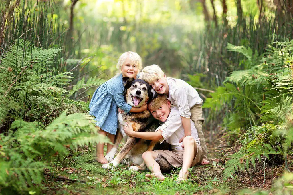 Family playing with their dog in a forest of ferns