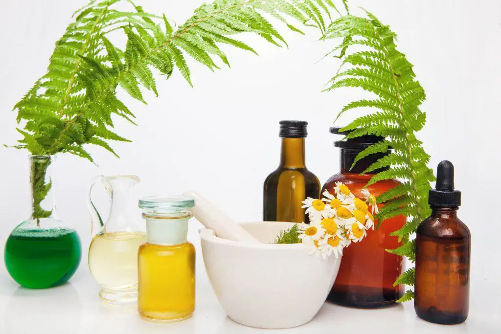 Natural medicine in bottles with ferns and chamomile flowers on a bowl
