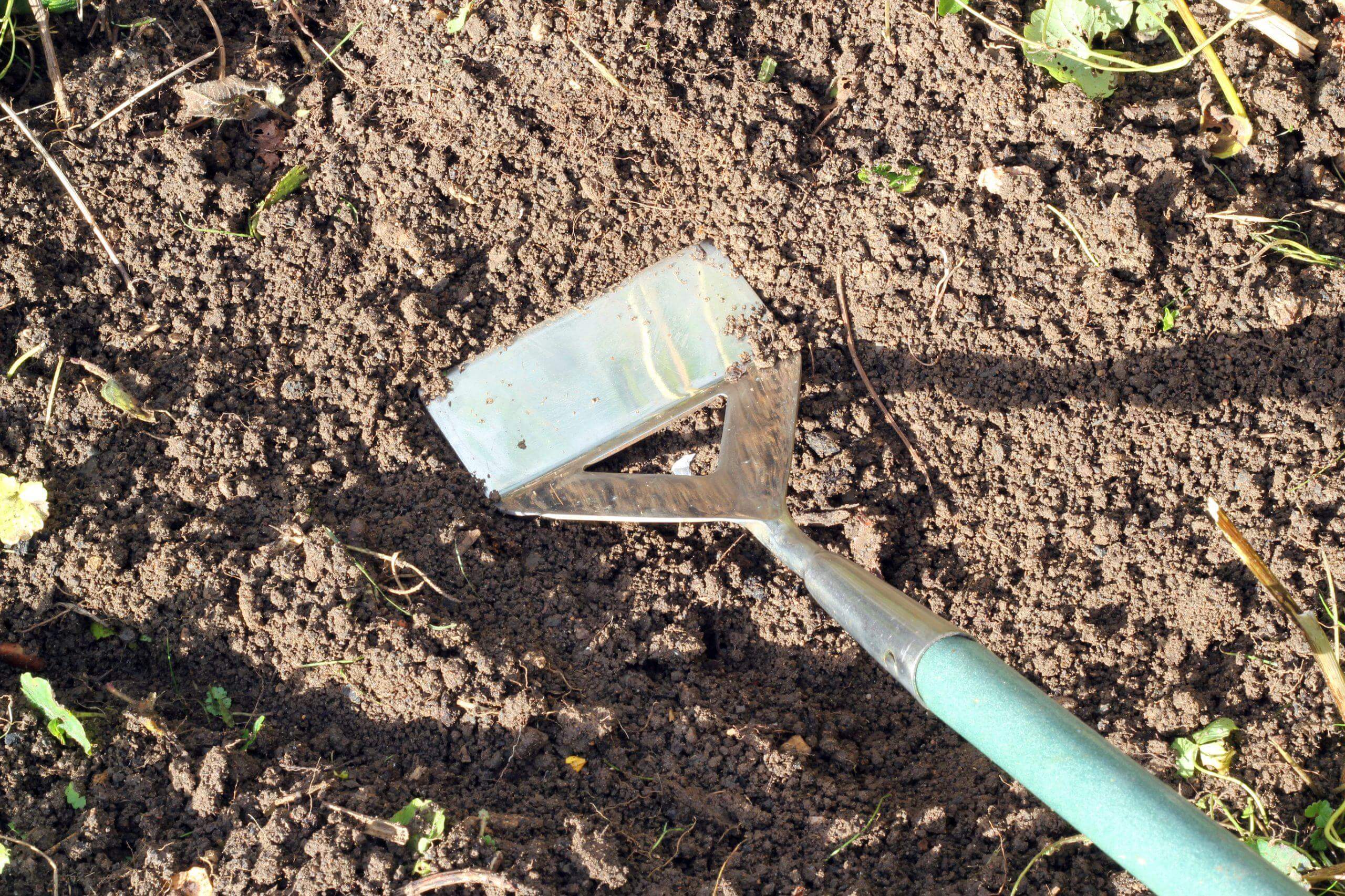 Use of how to manually remove weeds without damaging your plants or crops