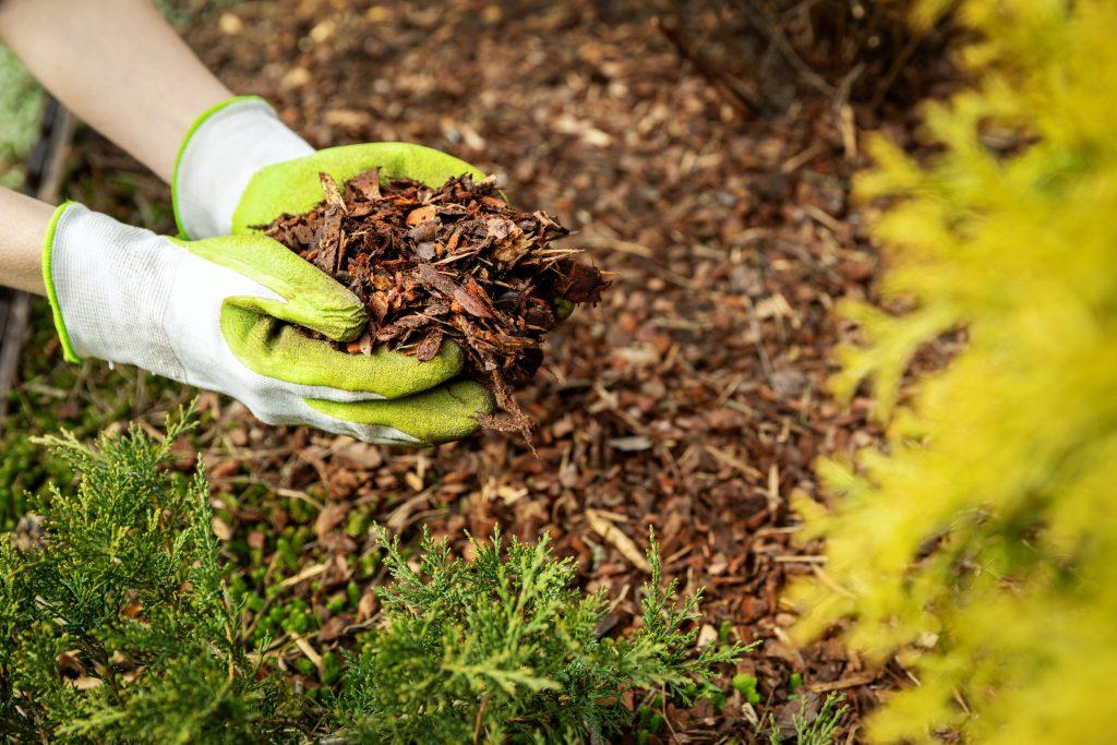 Use mulch to prevent weeds from growing through and competing against your plants