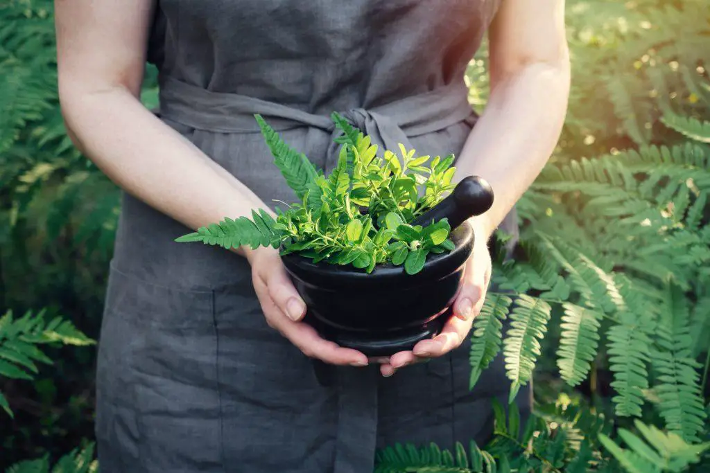 Woman holding in her hands a mortar of medicinal herbs