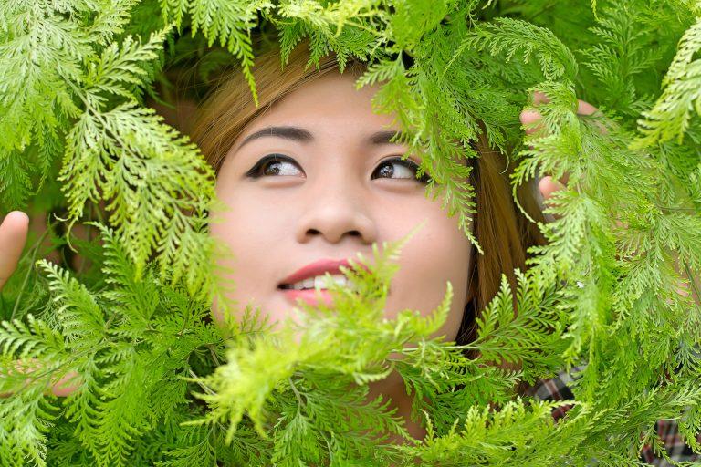 Are Ferns Toxic To Humans?
