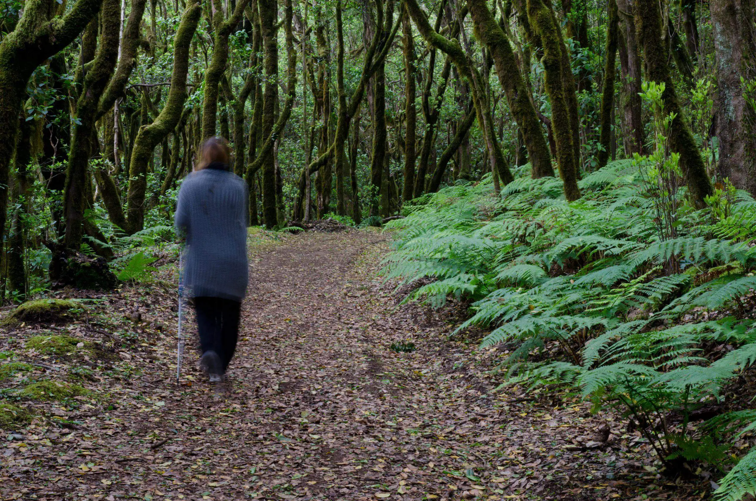 Woman walking past ferns on a woodland walk