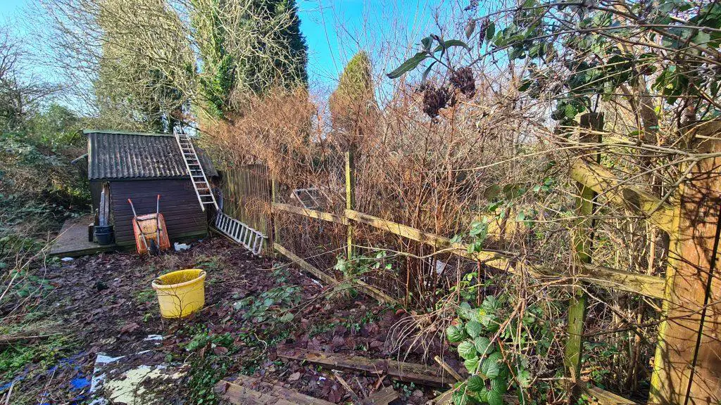 Garden in the middle of a site clearance of invasive weeds
