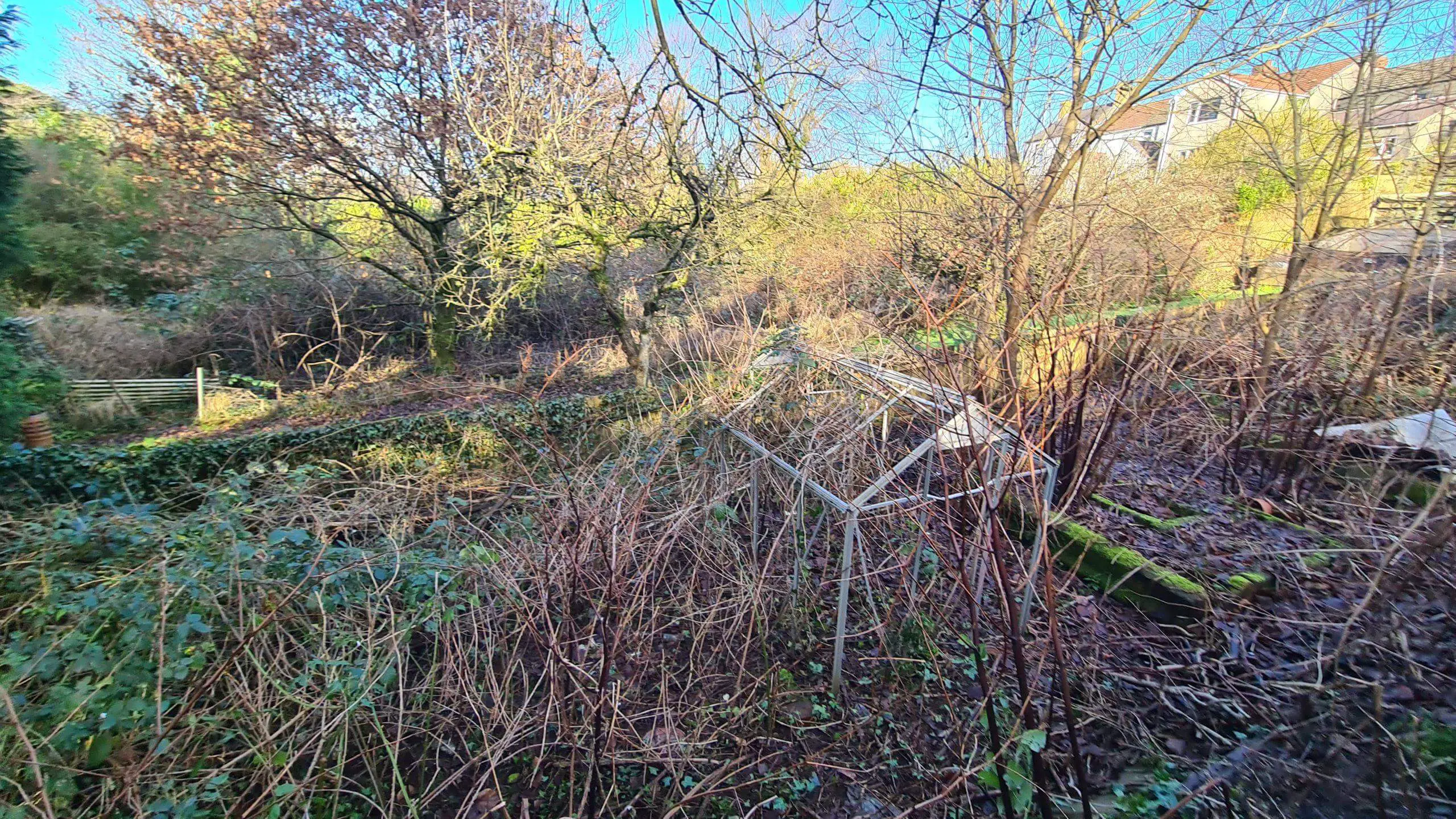 Site clearance of a garden underway from various invasive weeds