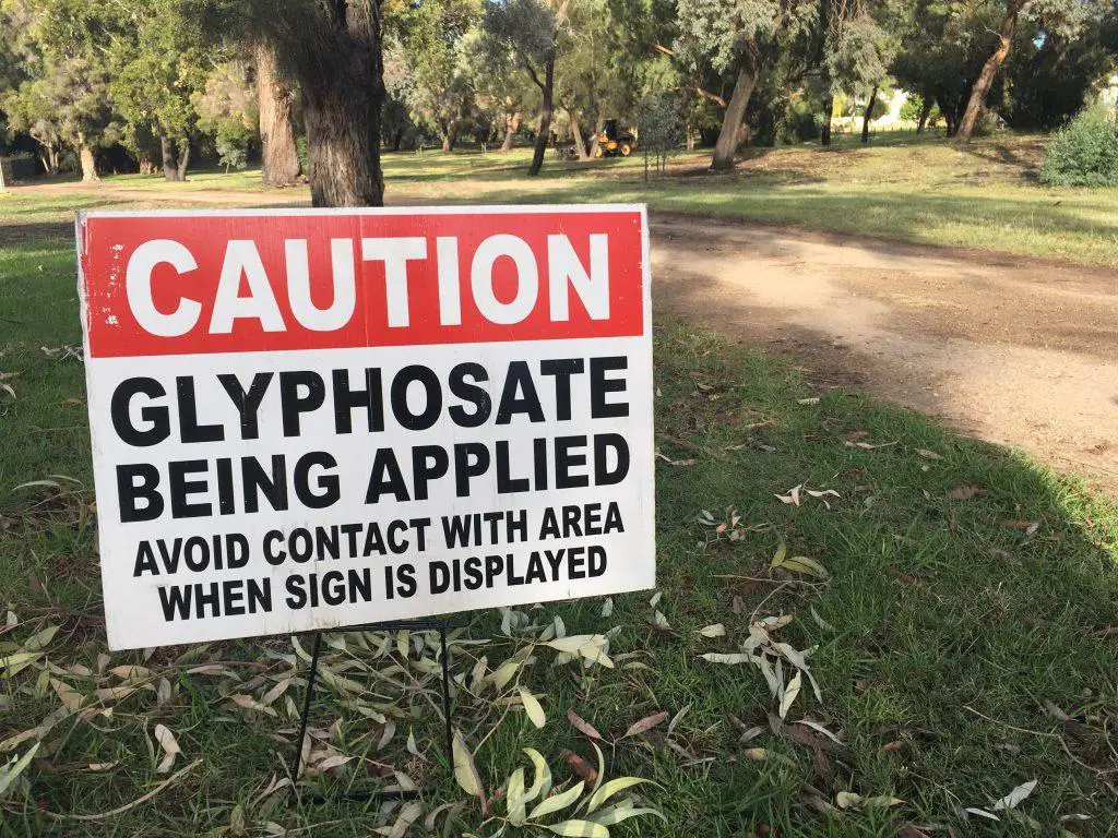 Glyphosate is used to kill weeds especially annual broadleaf weeds and grasses that compete with crops