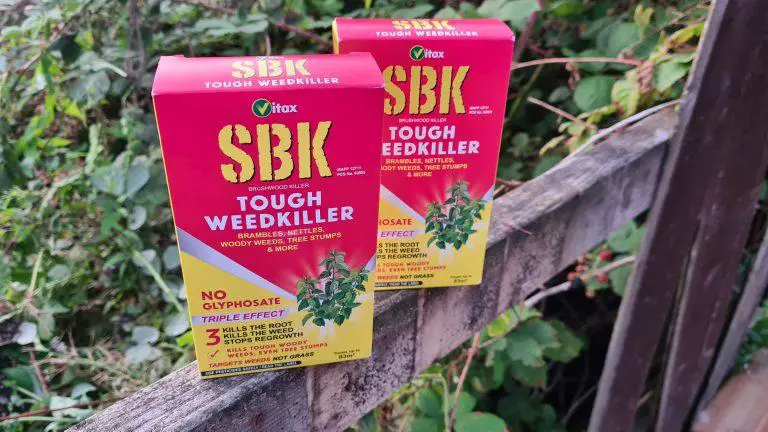 SBK weed killer is ideal for the treatment of brambles