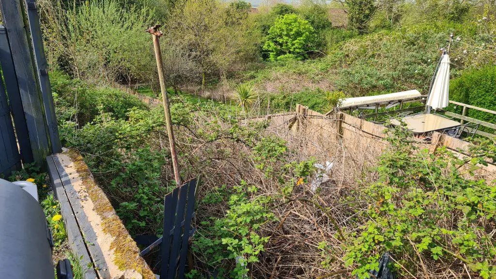 The need to destroy brambles to regain a garden back