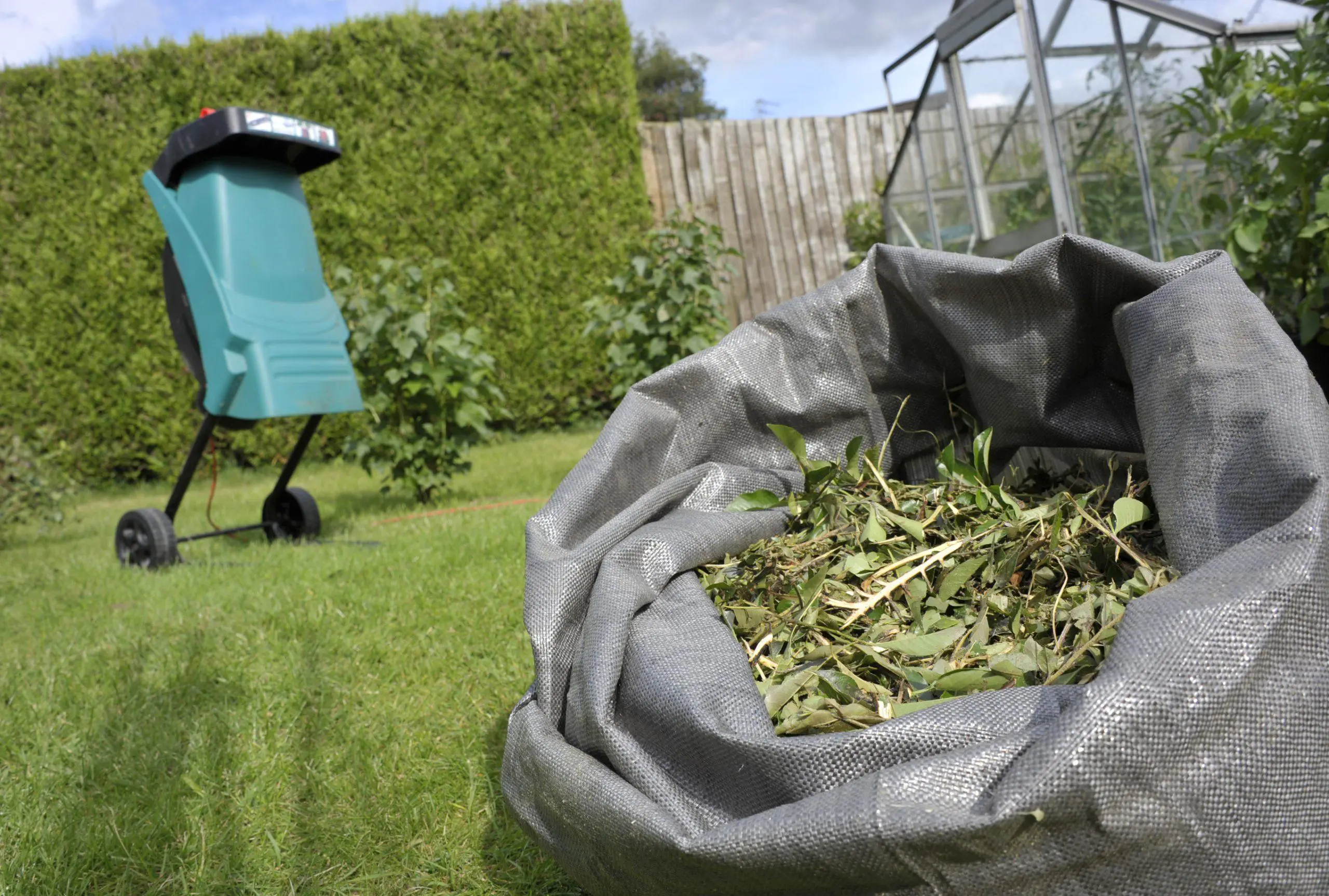 The use of an electric shredder to mulch your garden waste including brambles for composting