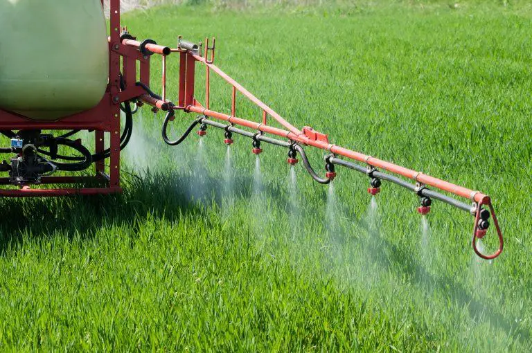 Glyphosate: The Science Behind The Most Popular Weedkiller