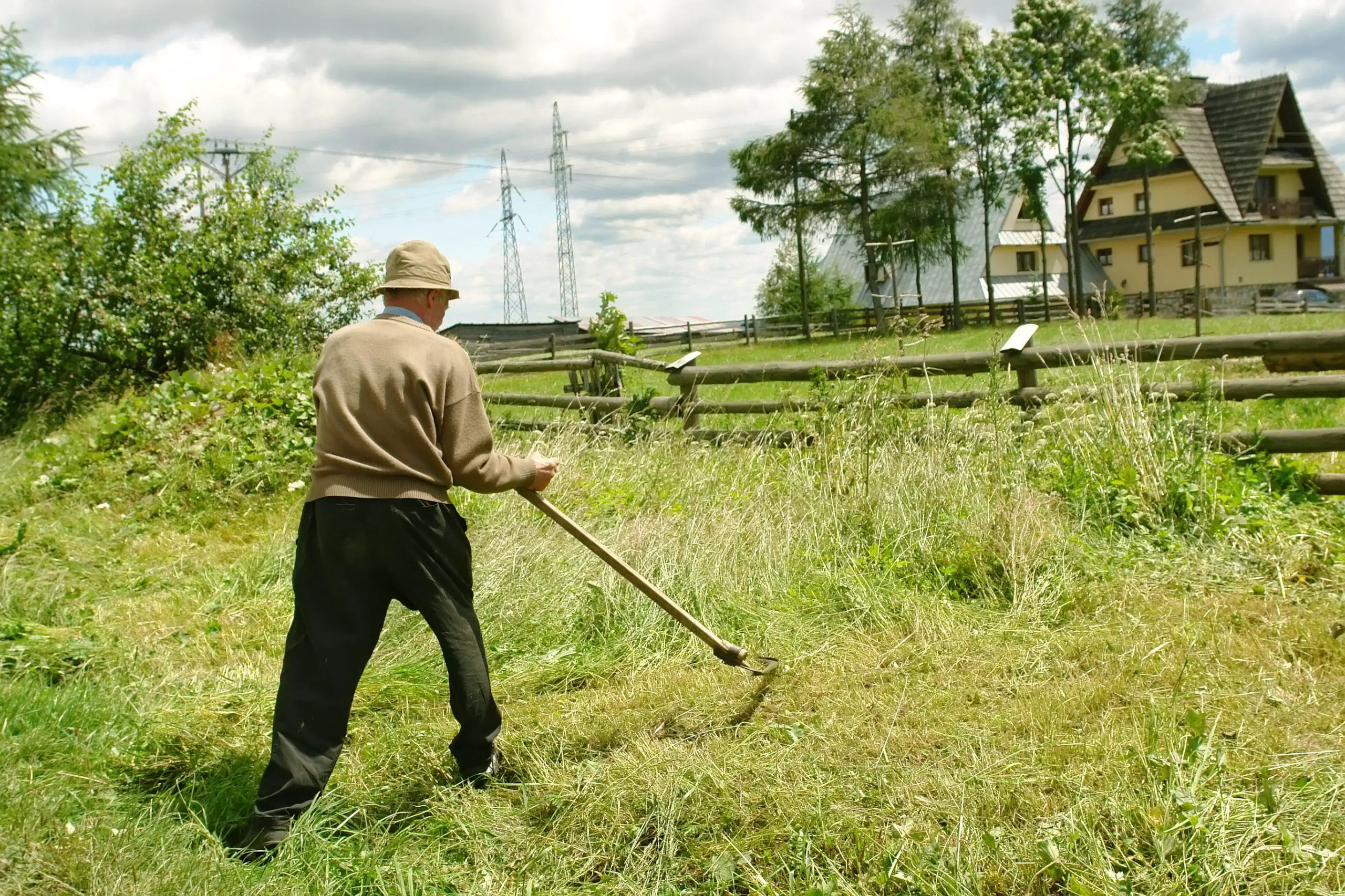 Use of a scythe to cut down invasive weeds