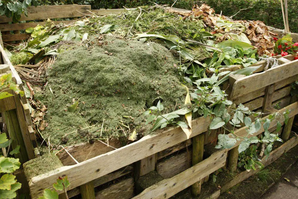 Wooden compost bin containing garden waste such as brambles and grass all adding to a rich and varied recipe for fertilising your plants