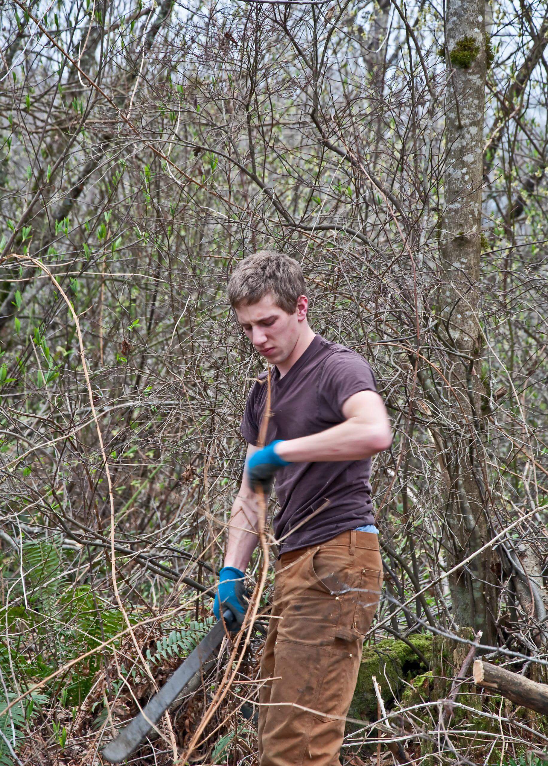 Young man clearing an area of brambles with a machete knife