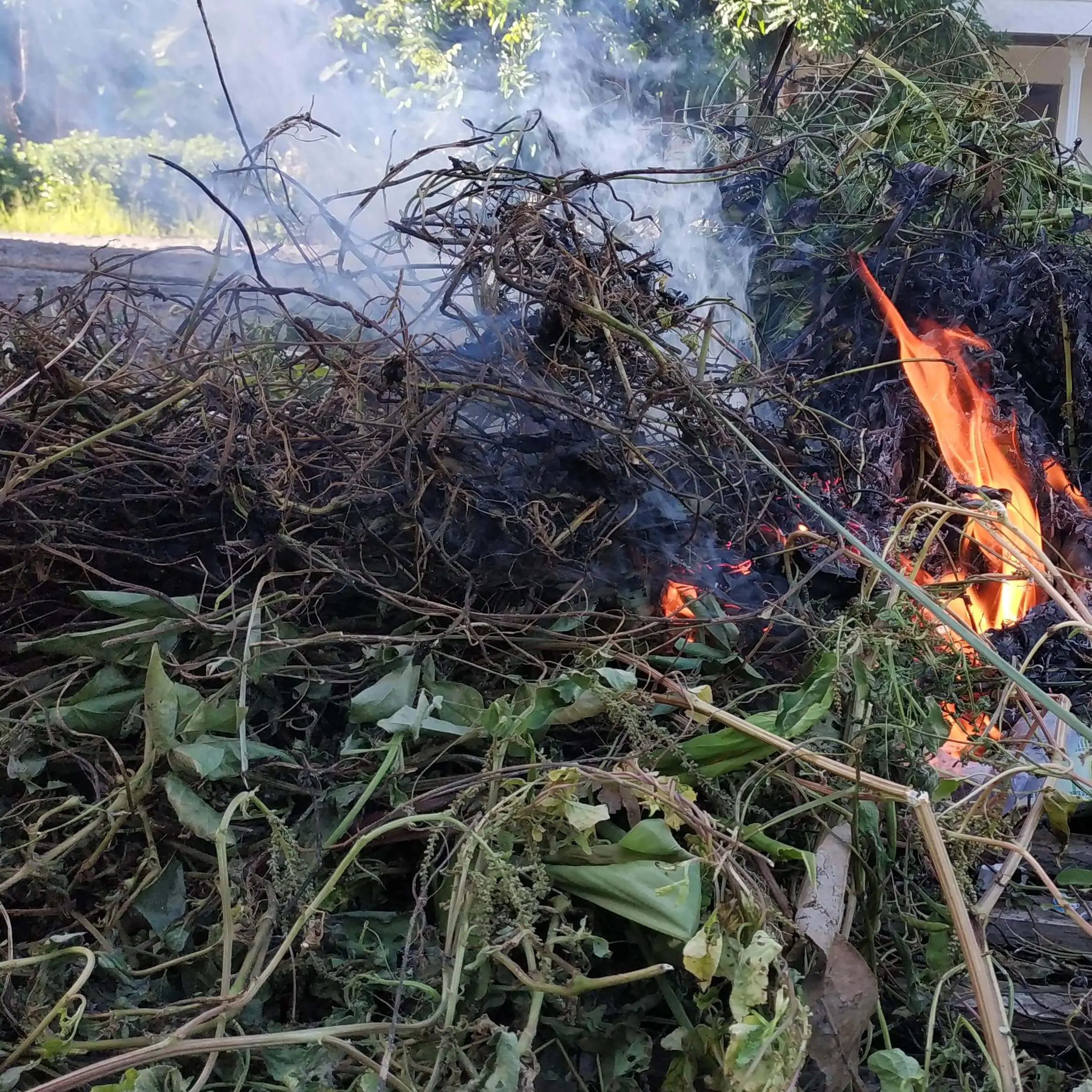 Burning of weeds within a garden