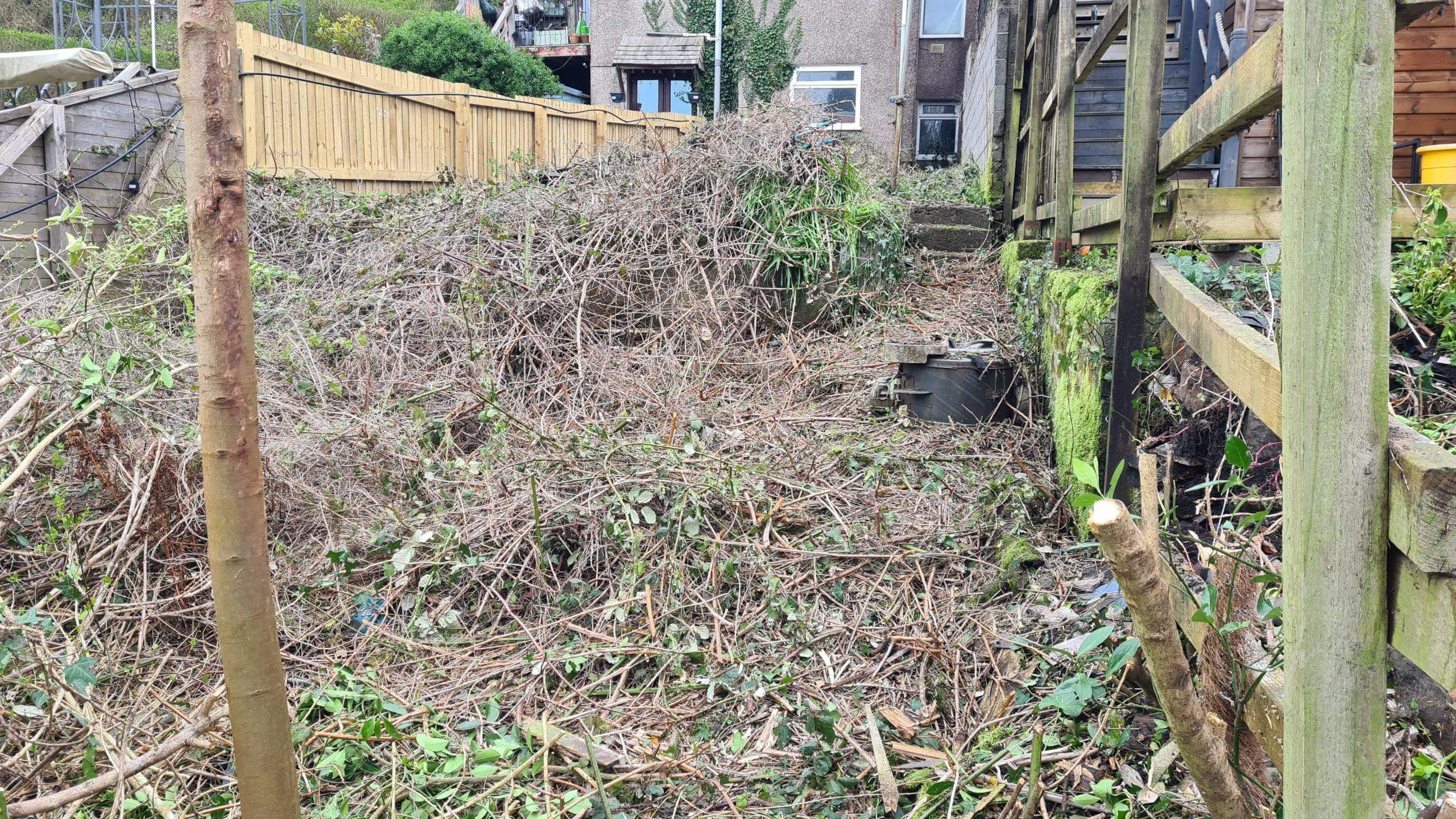 Clearing a garden of invasive weeds is such a rewarding journey from which you can transform your garden into a great outdoor space for you and wildlife