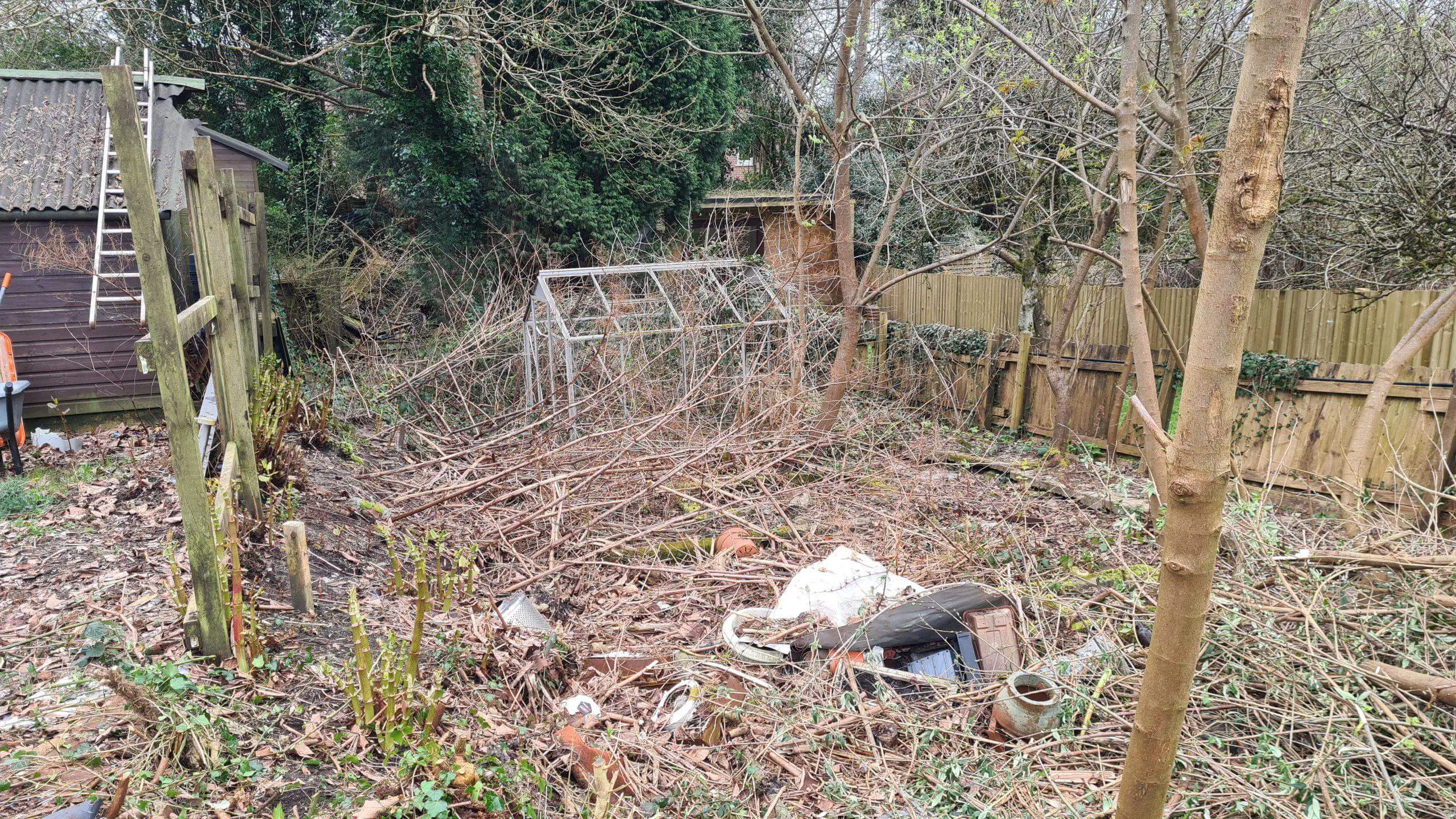 Clearing a huge range of invasive weeds between two properties before a new fence is replaced