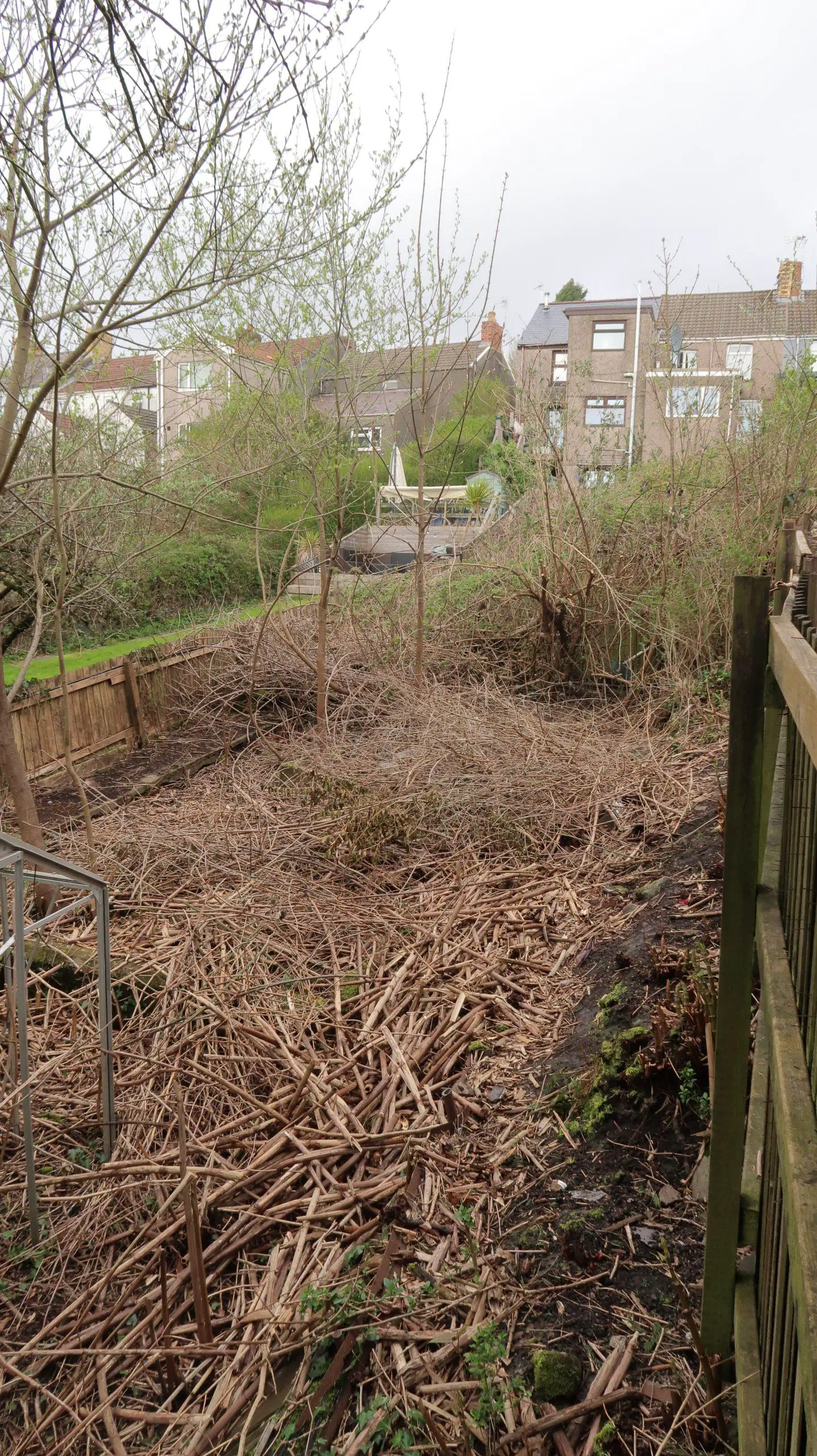 Clearing of a site can be costly the larger the area and the more intrusive the invasive weeds are