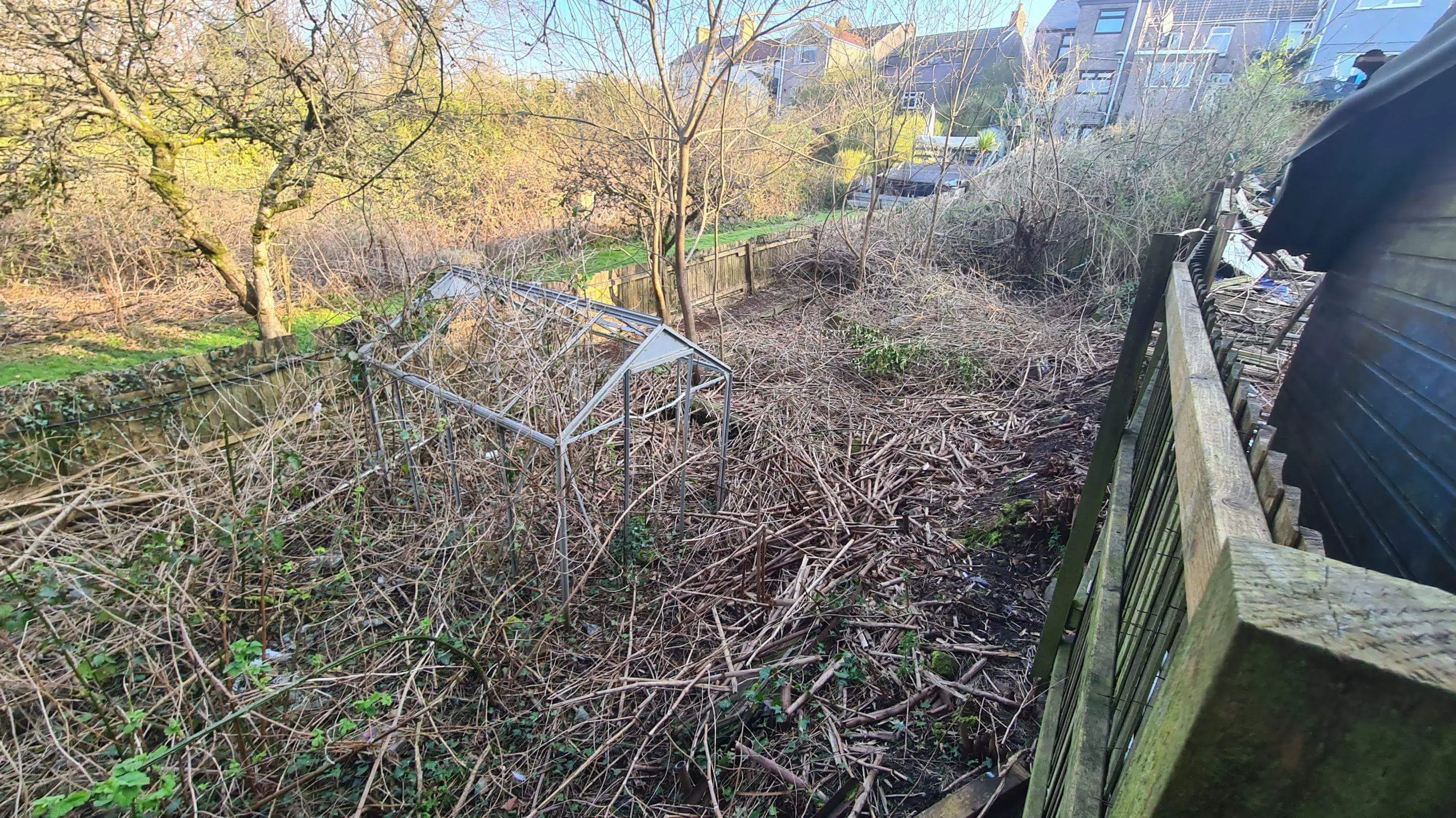 Clearing the area of non native weeds in order to restore the garden back to its former self