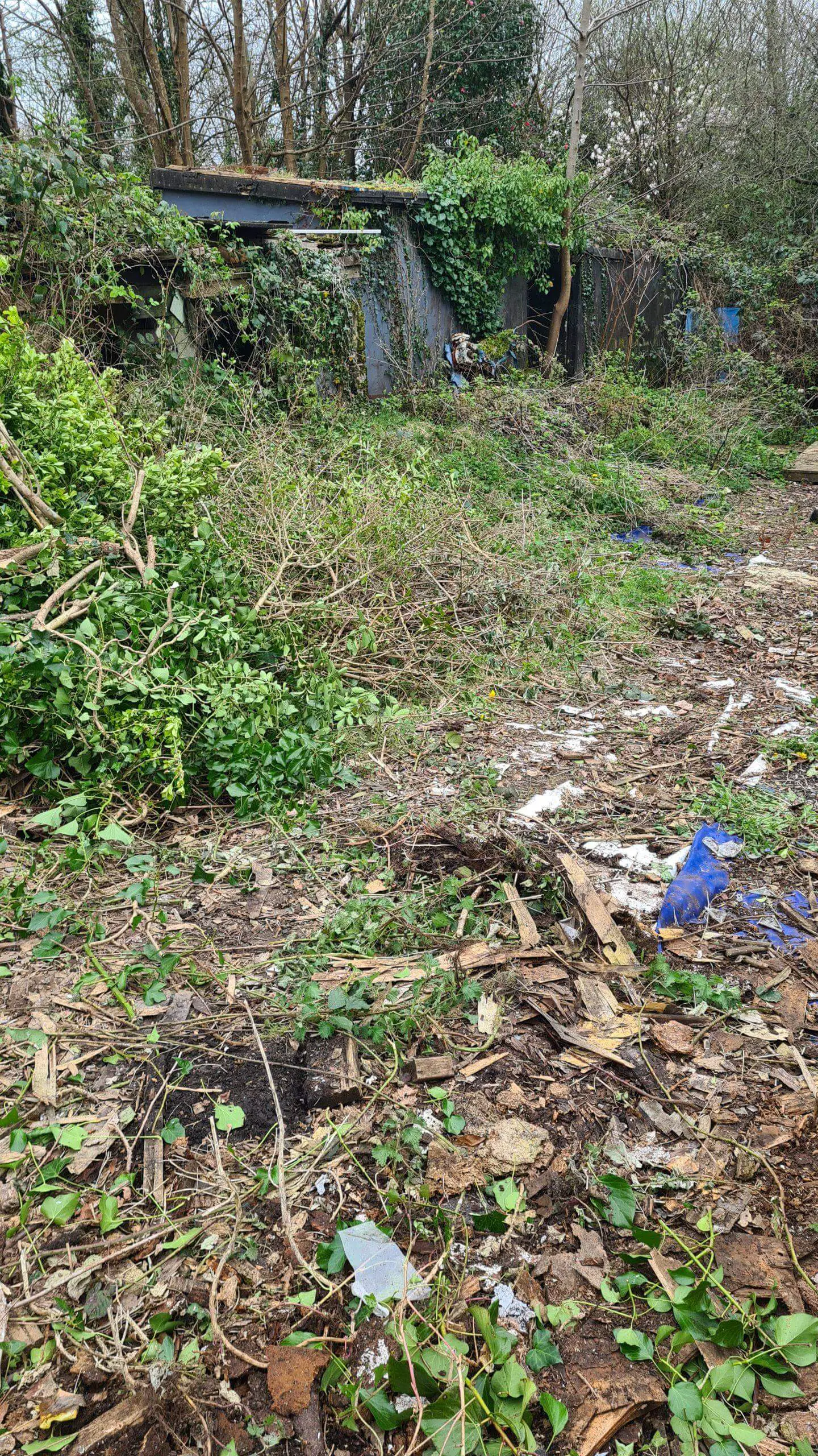 Clearing the site of invasive weeds and creating piles of debris to deal with later on gives you a sense of making progress and gaining back the space
