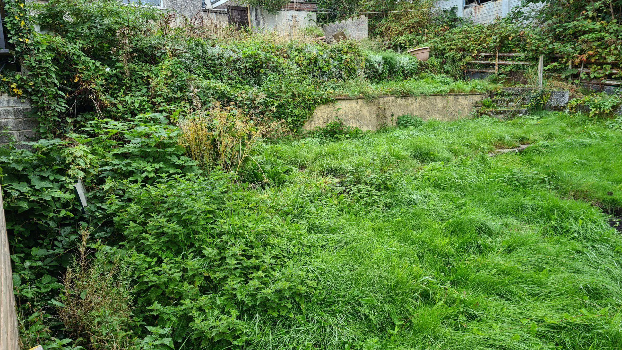 Invasive weeds have a negative effect on wildlife and the local ecosystem unless you deal with them before they overtake what is left of your garden
