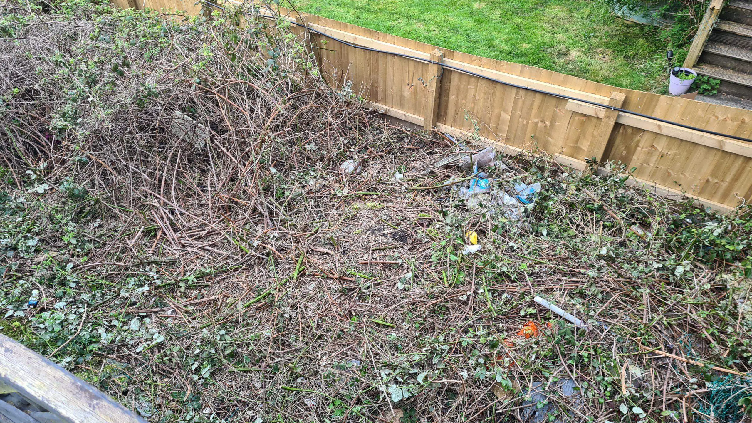 Nice patch of garden reclaimed from chopping down brambles with a hedge cutter