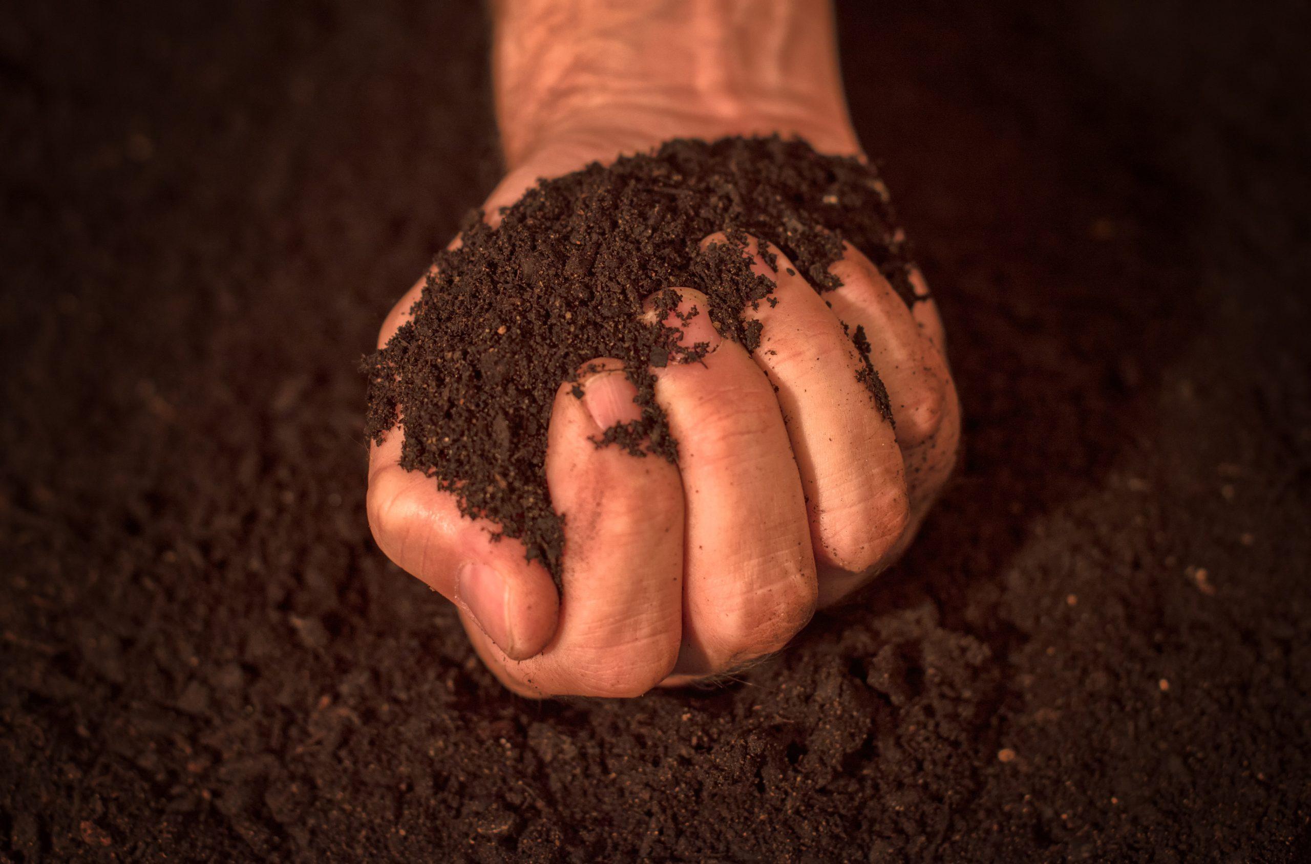 Quality soil in male gardener hands cultivated dirt ground for organic gardening and agriculture