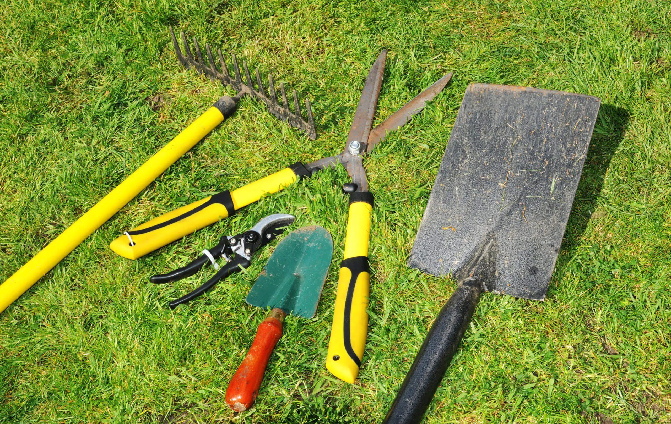 Selection of the main garden tools to clear the site from invasive weeds